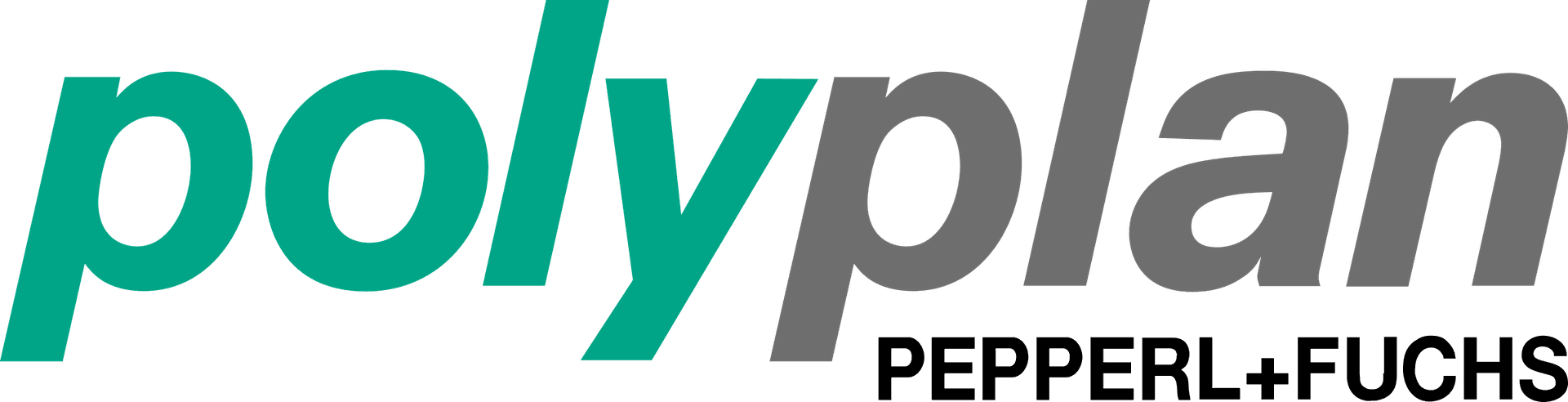 polyplan.cn